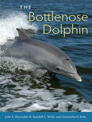 cover image of The Bottlenose Dolphin